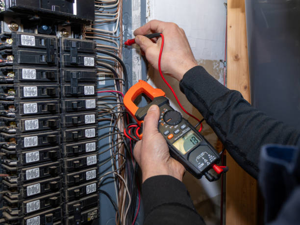 Best Electric Panel Repair  in , MS